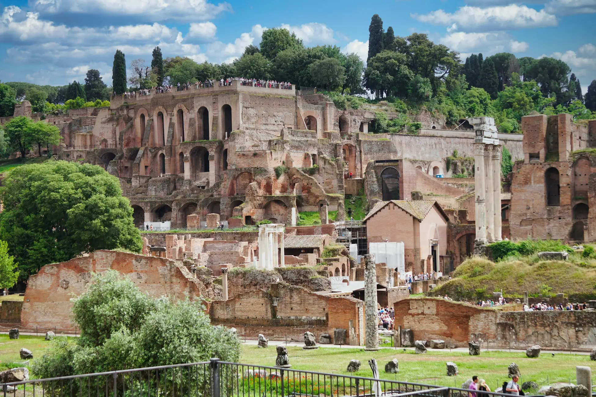 Rome: Guided Colosseum Underground Tour